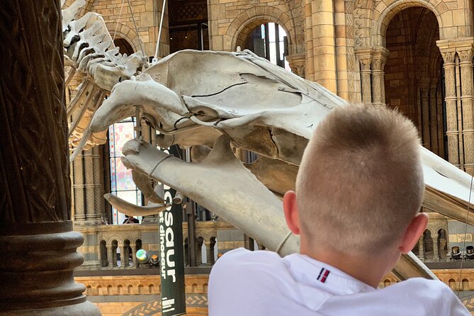 London Natural History Museum with Dinosaurs Gallery Private Tour for Kids - The blue whale, sequoia, and birds