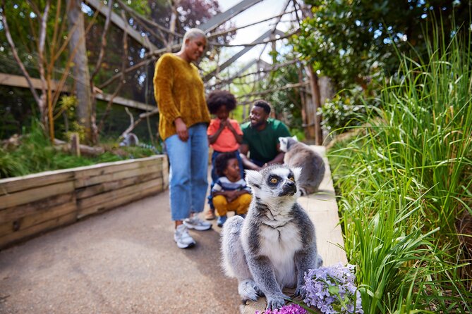 London Zoo Entry Ticket - What your London Zoo ticket actually gives you