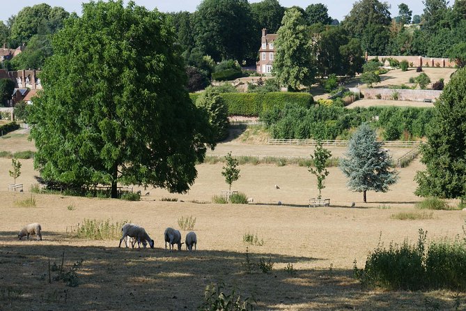 Midsomer Murders Tour from London - Transport, walking, and the pace of the day