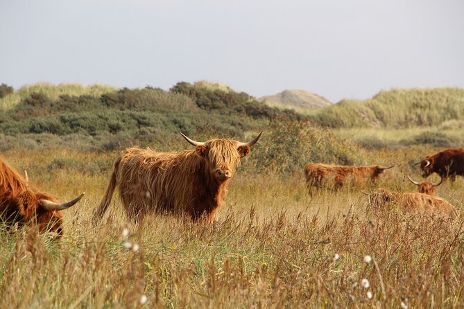 Multi-Day Tour from Brighton to Edinburgh & York including Scottish Highlands - The Scottish Highlands in one long day