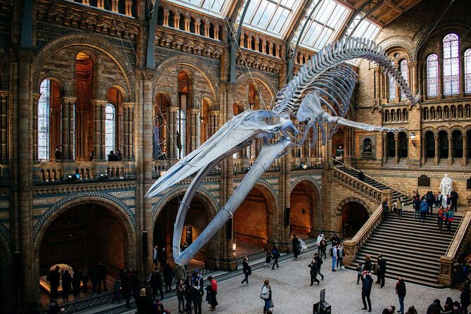 Natural History Museum London - Exclusive Guided Museum Tour - Key points to know before you book