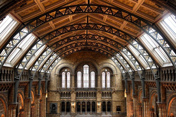Natural History Museum London - Exclusive Guided Museum Tour - Why a guide helps in this enormous museum