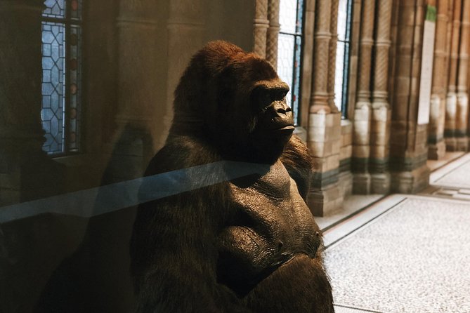 Natural History Museum London - Exclusive Guided Museum Tour - Pompeii casts and unsettling human history