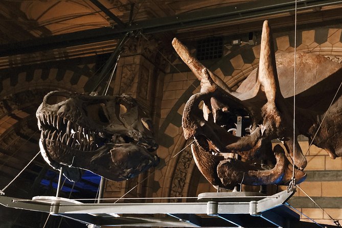 Natural History Museum London - Exclusive Guided Museum Tour - Plants, fossils, gemstones, and a sequoia slice