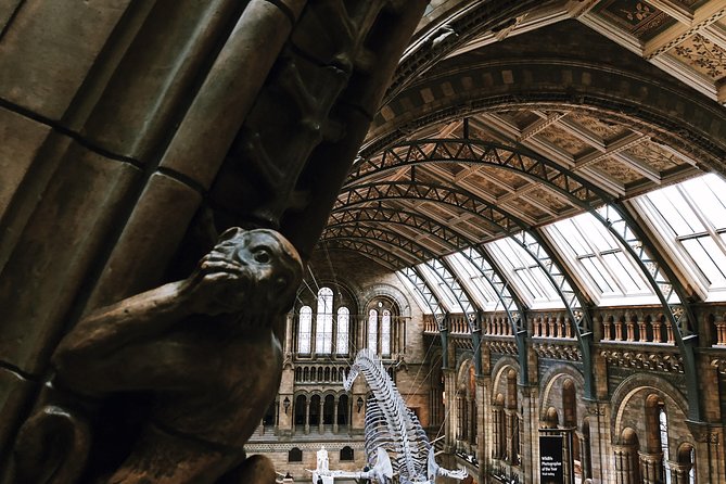 Natural History Museum London - Exclusive Guided Museum Tour - The vault and the museum’s stranger corners