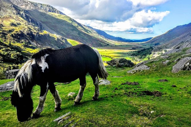 North Wales Adventure Sightseeing Day Trip from Liverpool - Conwy brings castles, walls, and lunch