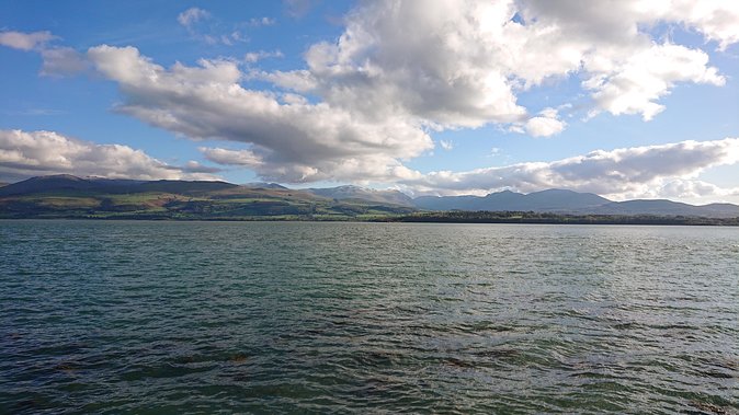 North Wales and Caernarfon Castle day tour from Chester - The driver-guide can make or break the day