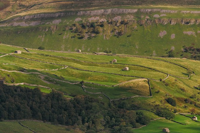 North York Moors and Whitby Day Tour from York - Whitby is the days main event