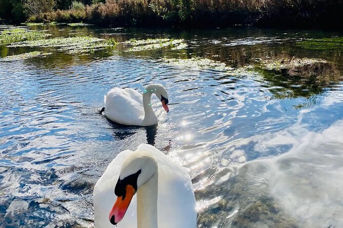One Day Tour from London to The Cotswolds - Adrian’s guiding style and the value of local knowledge