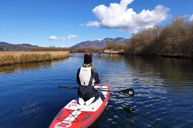 Paddle Boarding on Derwent Water - Who will enjoy this session most