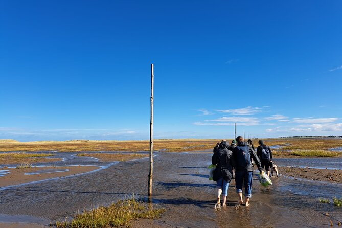 Pilgrims' Path walk across the sands to Holy Island - Meeting Ray before dawn at Beal Farm