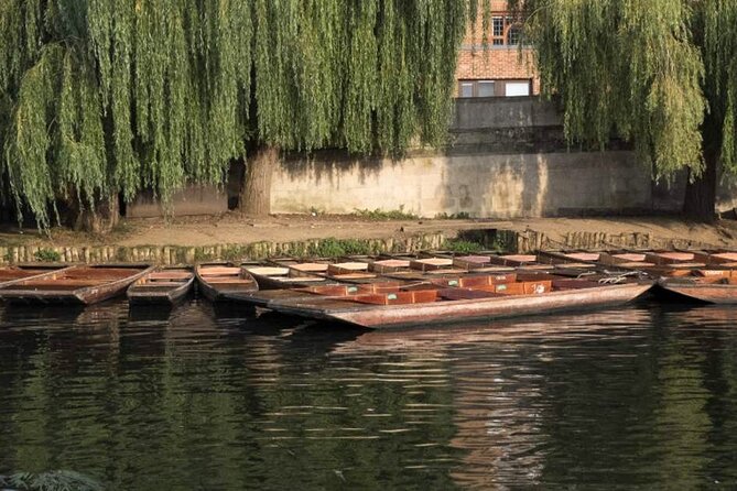 Private Cambridge Punting Tour - What your chauffeur adds to the trip