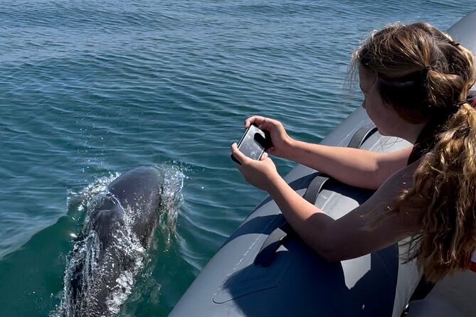 Private Coastal Boat Tour in Torquay - Why a private RIB is a good way to see Torquay