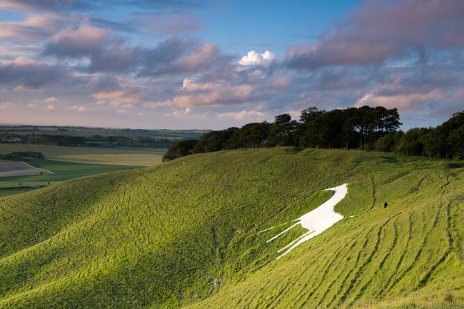 Private Day Tour from Bath to Avebury and Stonehenge with Pickup - A final photograph at the Cherhill White Horse
