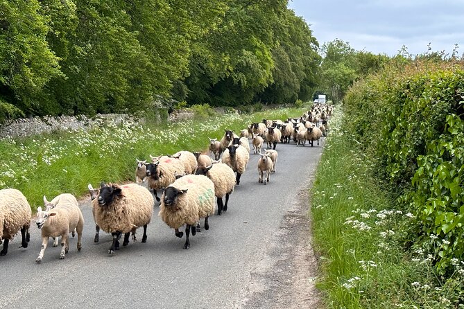 Private Day Tour from Bath to the Captivating Cotswolds - Lunch at a country inn