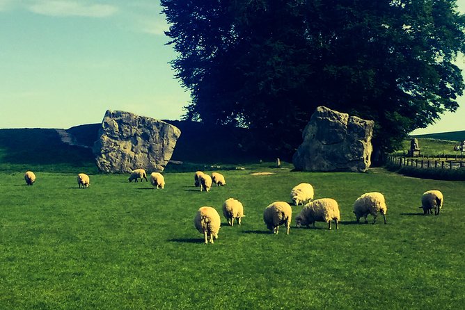 Private Day Tour to Bath, Avebury & The Cotswolds - Bath, the day’s main event