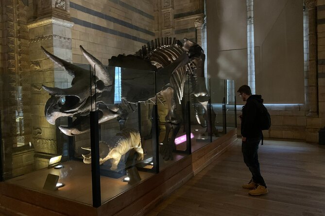 Private Guided Tour of Natural History Museum - Skip the Line - The Dinosaurs Gallery: The Main Family Draw