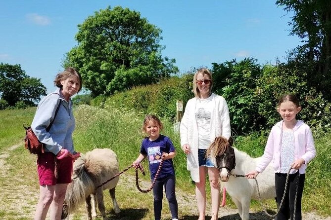 Private Miniature Horse Walking near Lincoln - Key points at a glance