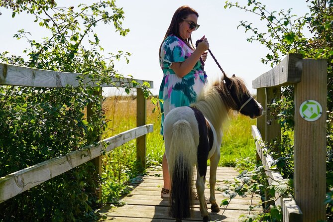 Private Miniature Horse Walking near Lincoln - Learning to walk, steer, and stop