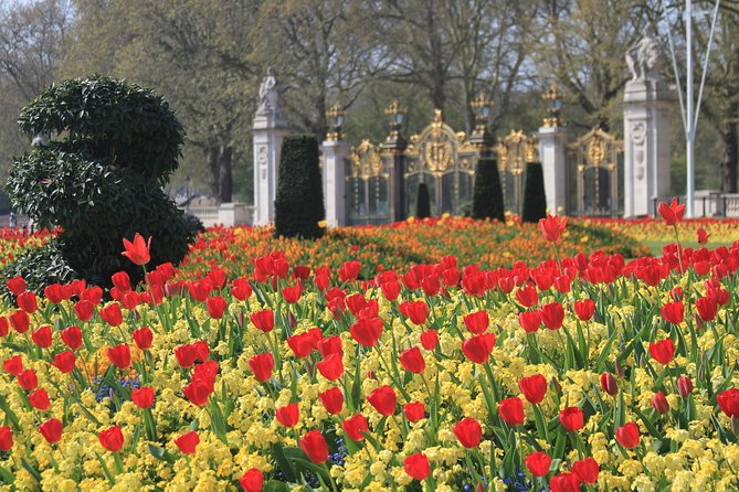 Private Tour, Entry to Westminster Abbey and London Highlights - Buckingham Palace from the outside