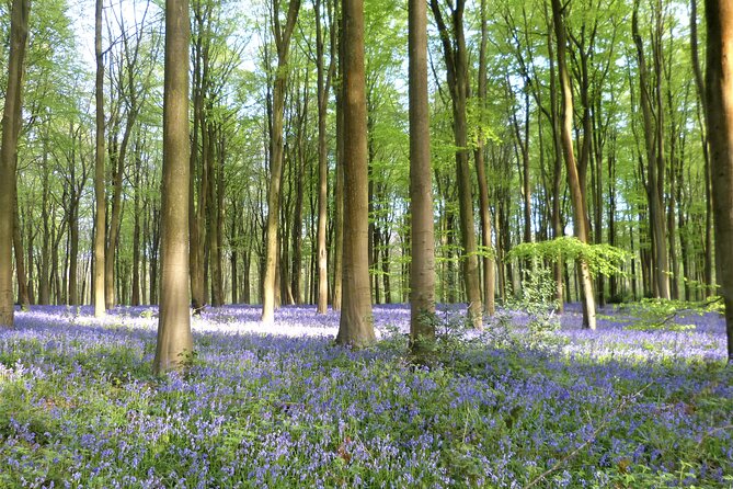 Private Tour of Quintessential Wiltshire and Cotswold Villages - What Kerry and Laurence add to the day