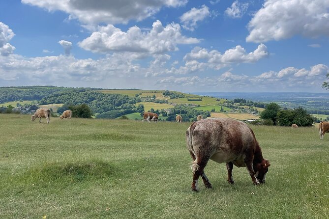 Private tour of the stunning Cotswolds with an expert local guide - What Nathan adds to the scenery