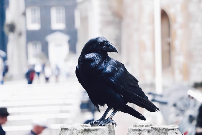 Private Tour of The Tower of London - Crowds, timing, and the narrow stairs