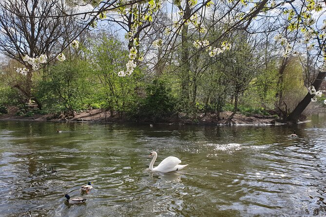 Private Tour of Westminster Abbey and Changing of the Guard - St James’s Park offers a quiet change of pace