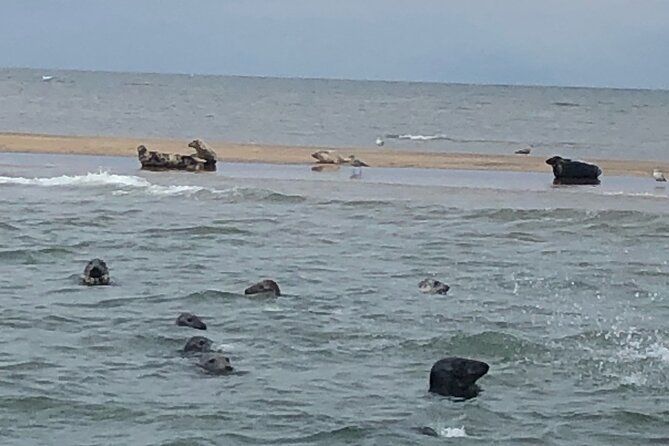 Scroby Sands Seal Watching - The northbound run past Lowestoft and Corton