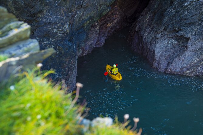 Sea Kayak Lesson & Tour in Newquay - Wildlife and the pleasure of being outside