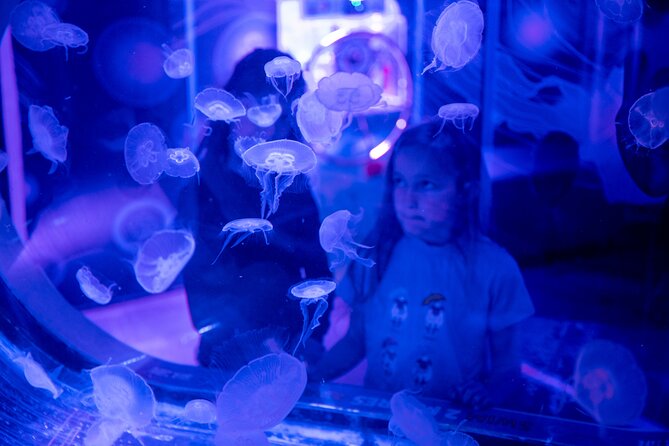 SEA LIFE Birmingham Admission Ticket - A family-friendly stop with a few limits