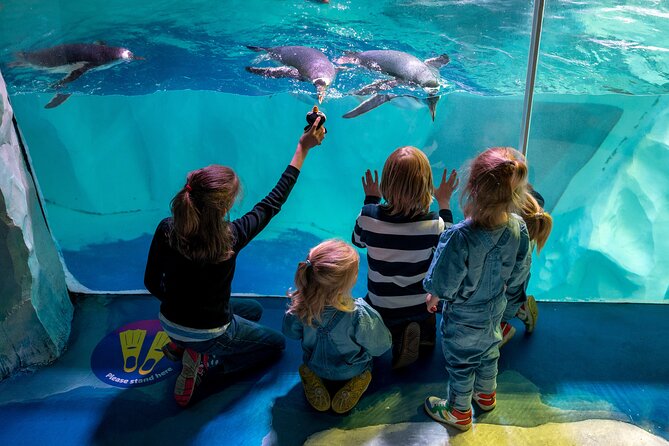 SEA LIFE Birmingham Admission Ticket - How the experience compares with expectations