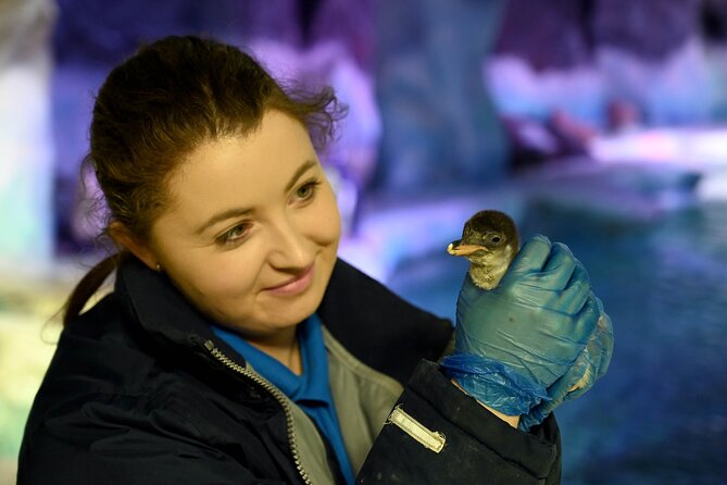 SEA LIFE Birmingham Admission Ticket - Booking flexibility and practical planning