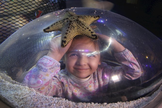 SEA LIFE Blackpool Admission Ticket - Walking through the tropical reef tunnel
