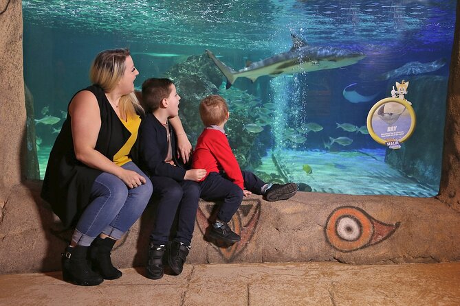 SEA LIFE Blackpool Admission Ticket - Spending time in Seahorse Kingdom
