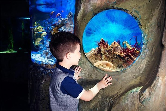 SEA LIFE Blackpool Admission Ticket - Entering the rainforest with frogs and piranhas