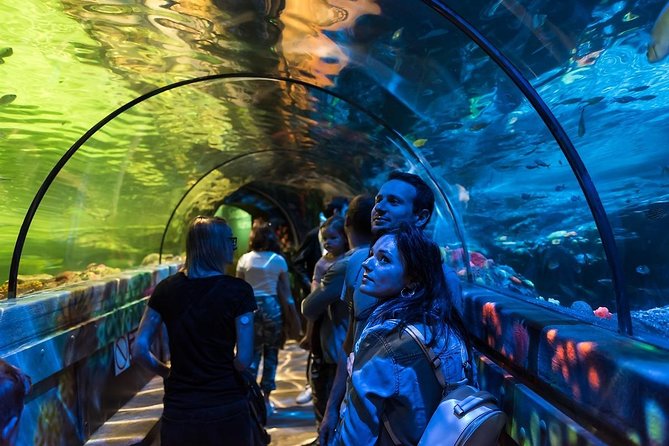 SEA LIFE Brighton Admission Ticket - The Claws exhibit and its giant crab