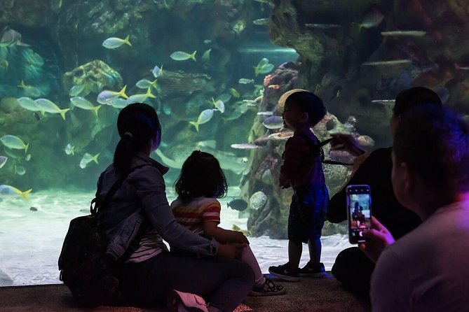 SEA LIFE Brighton Admission Ticket - How long the visit takes