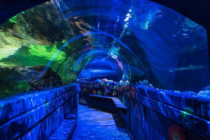 SEA LIFE Brighton Admission Ticket - Is the $21.94 ticket good value?