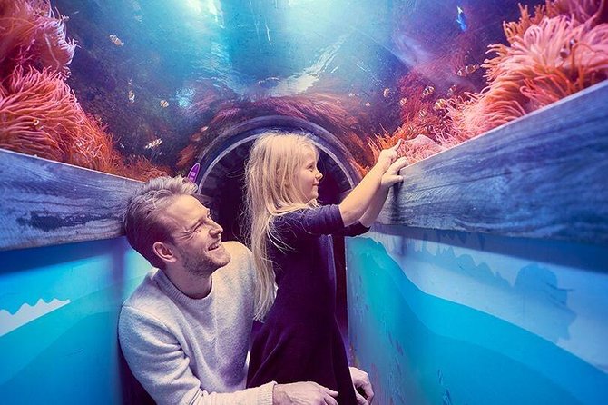 SEA LIFE Brighton Admission Ticket - Booking, vouchers, and timing tips