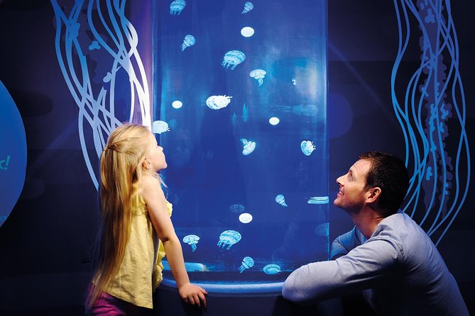 SEA LIFE Great Yarmouth General Admission - Meeting 1,500 creatures inside Great Yarmouth