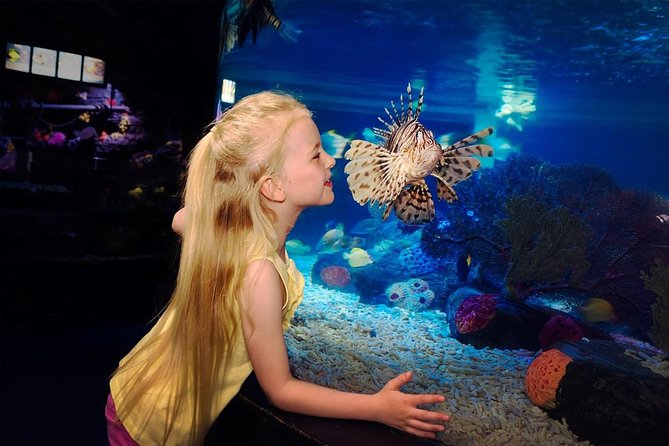 SEA LIFE Great Yarmouth General Admission - Penguins, crocodiles, and the smaller tanks