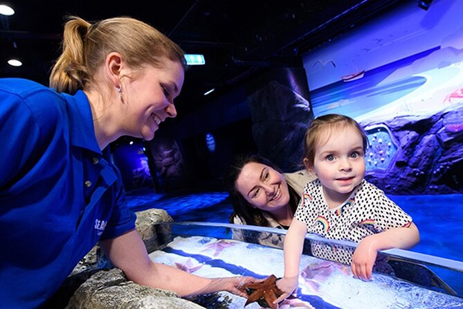 SEA LIFE London Aquarium Admission Ticket - Entering the aquarium beside the London Eye