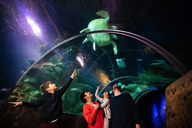 SEA LIFE London Aquarium Admission Ticket - Rainforest Adventure and the less cuddly residents