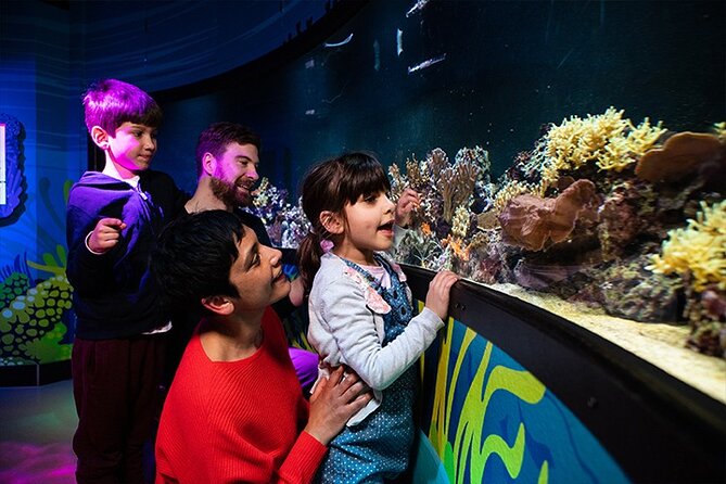 SEA LIFE London Aquarium Admission Ticket - Penguins, stingrays, and the most memorable tanks