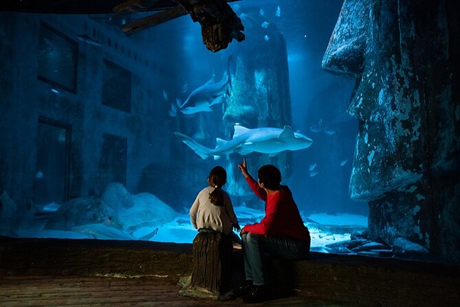 SEA LIFE London Aquarium Admission Ticket - Is $38.48 a fair price?