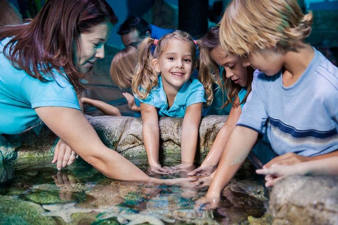 SEA LIFE Manchester Admission Ticket - The glass tunnel and Ernie the turtle