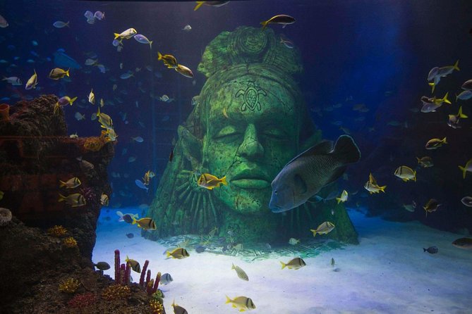 SEA LIFE Manchester Admission Ticket - Tropical ocean tank with sharks, rays, and fish