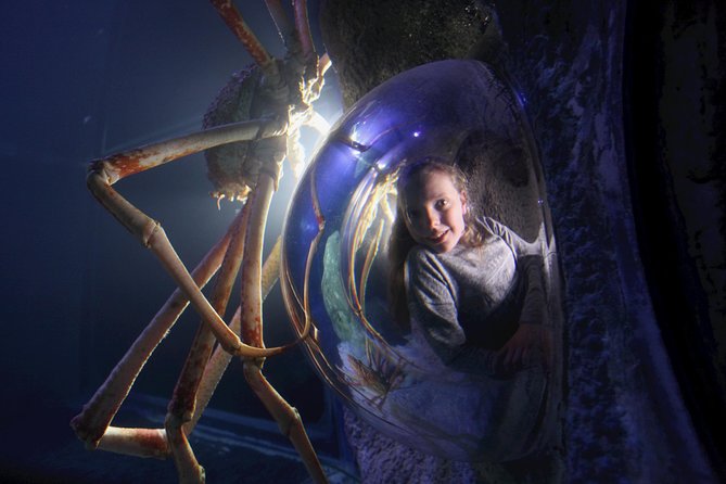 SEA LIFE Manchester Admission Ticket - Rockpools are the most hands-on section