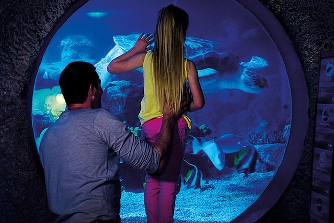 SEA LIFE Manchester Admission Ticket - Strange fish and moon jellyfish